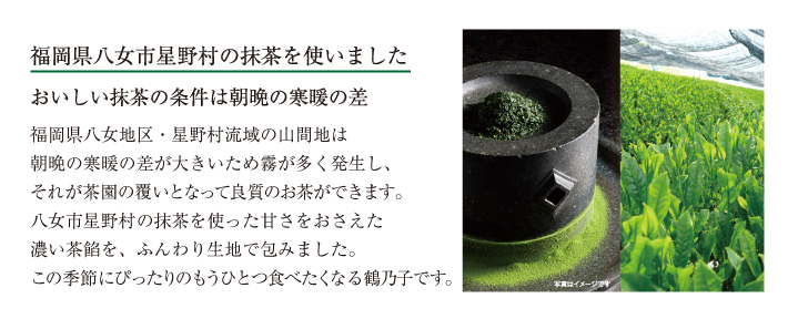 抹茶茶鶴の子(まっちゃ つるのこ)