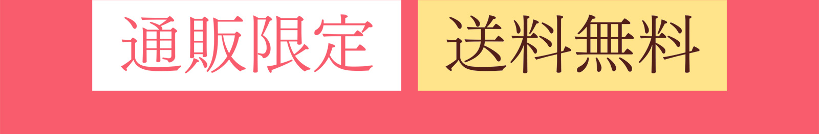 通販限定 送料無料