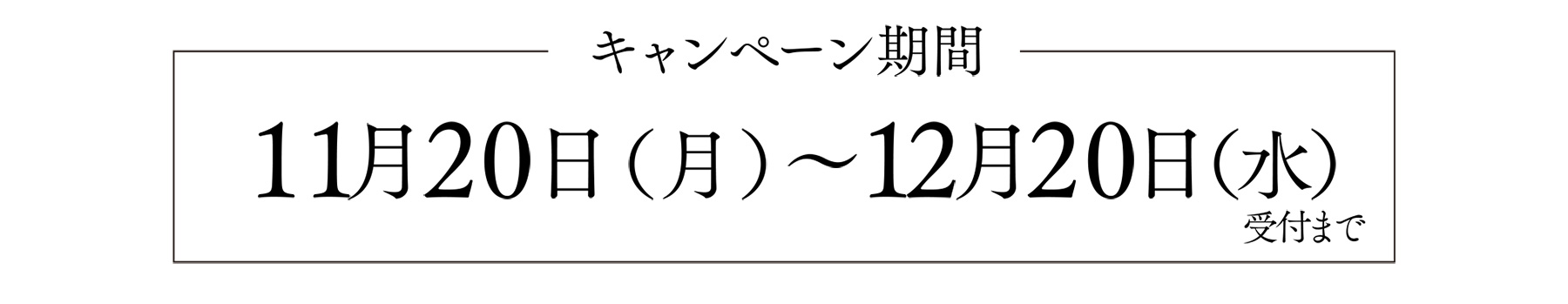 キャンペーン期間 11月20日（月）〜12月20日（水）受付まで