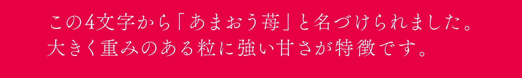 この4文字から「あまおう苺」と名づけられました。大きく重みのある粒に強い甘さが特徴です。