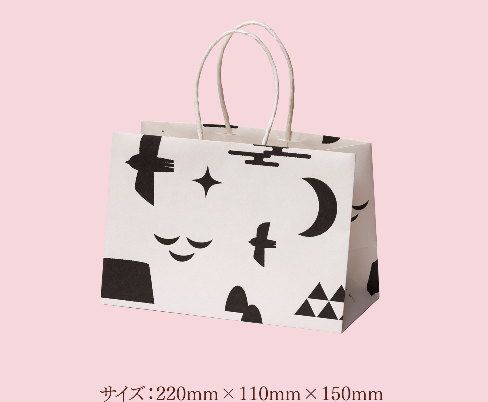 サイズ：220mm×110mm×150mm