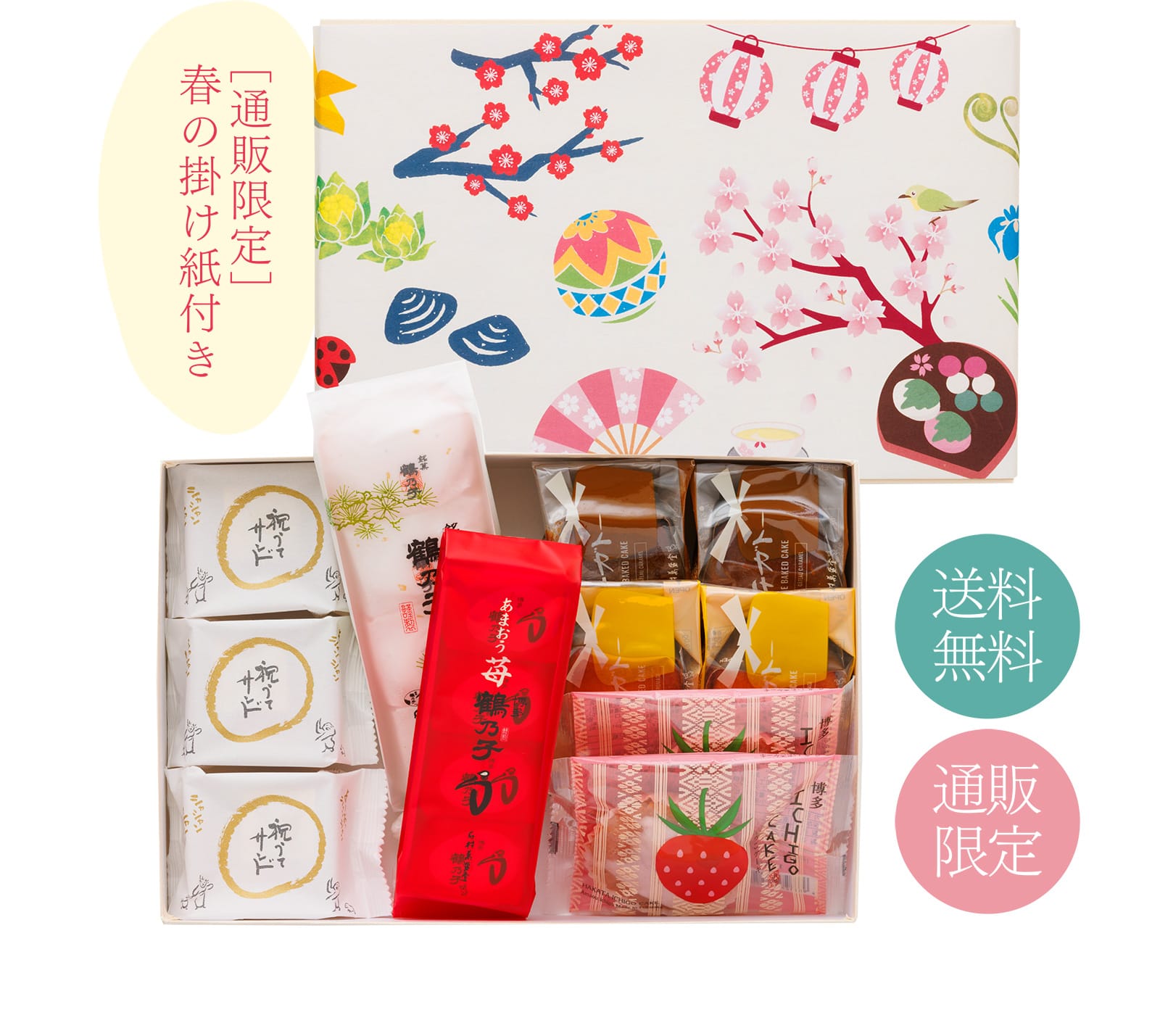 [送料無料] [通販限定] 通販限定 春の掛け紙付き
