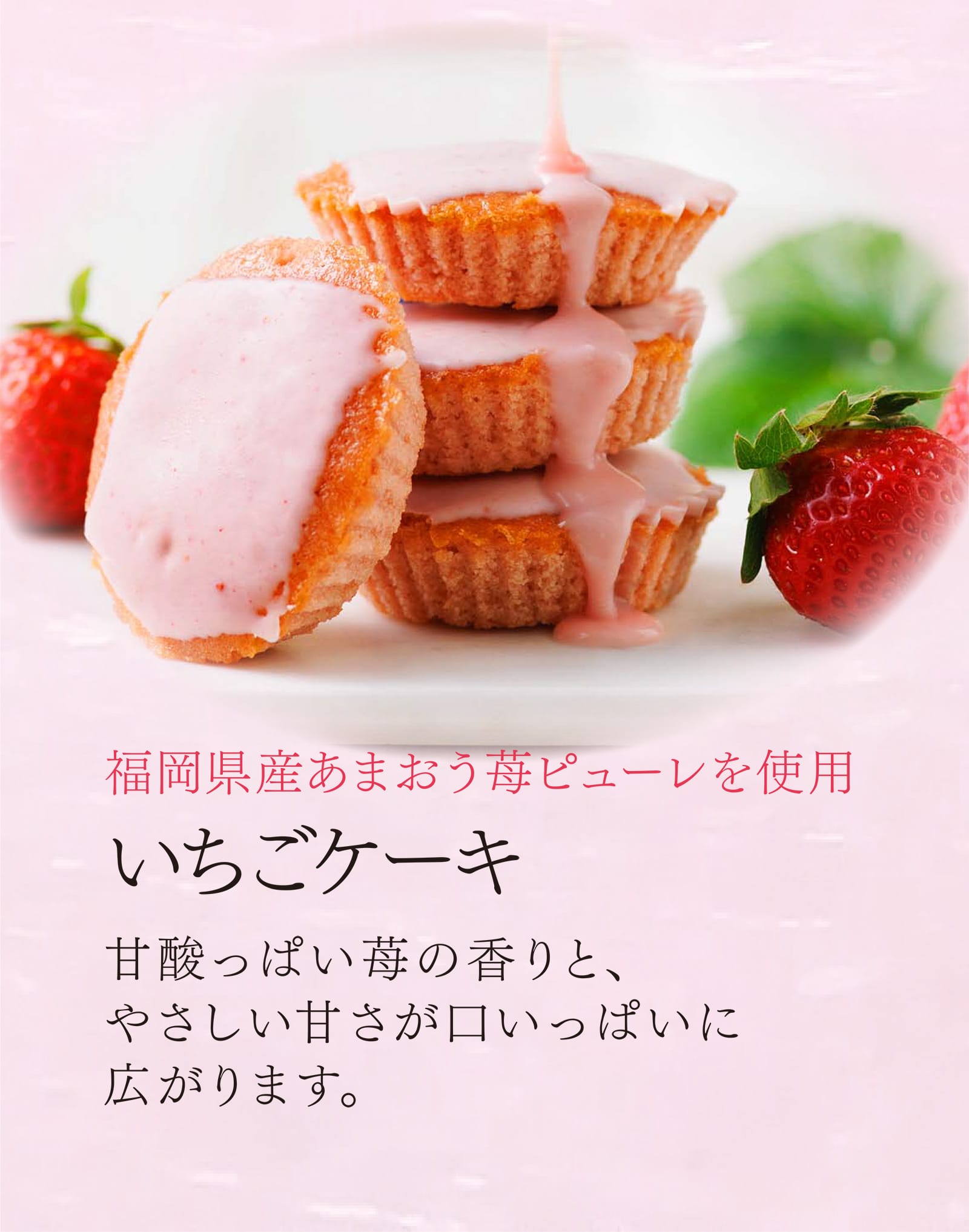 「博多の玉手箱 春びより」と一緒にご購入いただいた商品も「送料無料」※１回のご注文でお届け先が同一の場合に限ります。