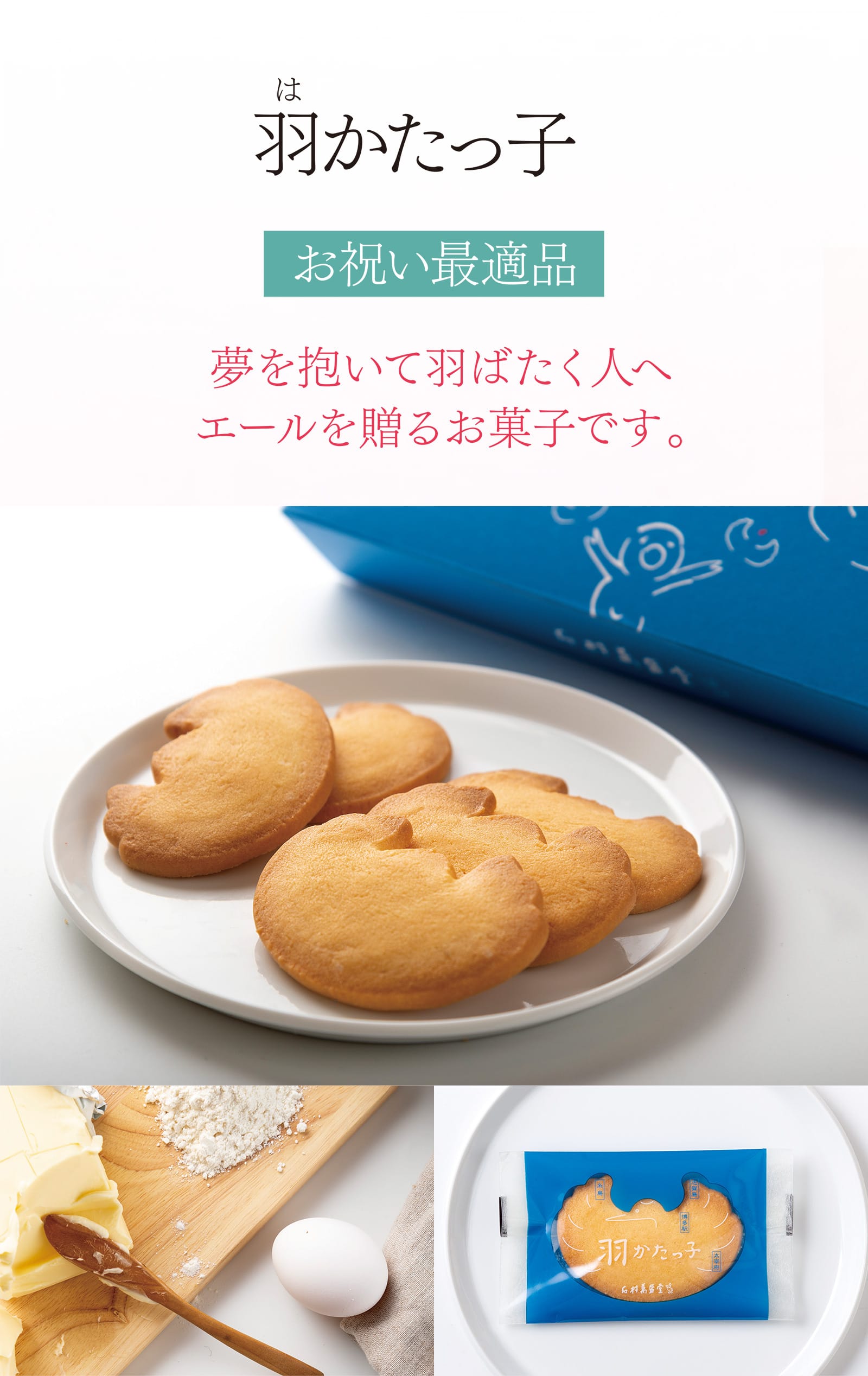 羽（は）かたっ子 お祝い最適品 夢を抱いて羽ばたく人へエールを贈るお菓子です。