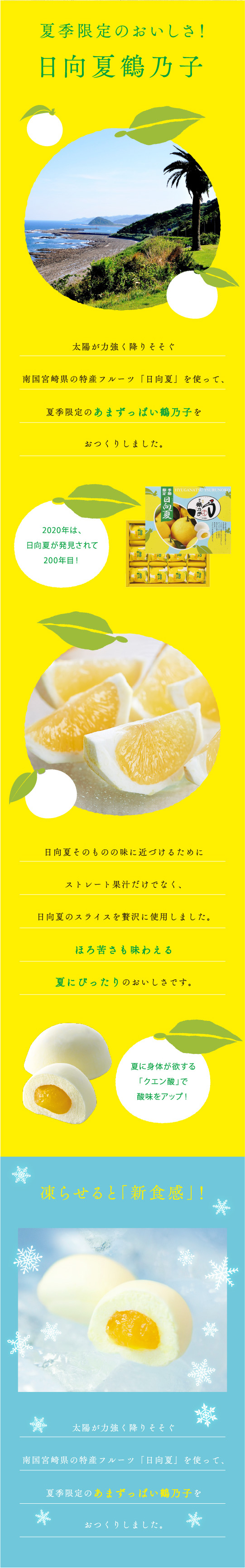 サマー特集