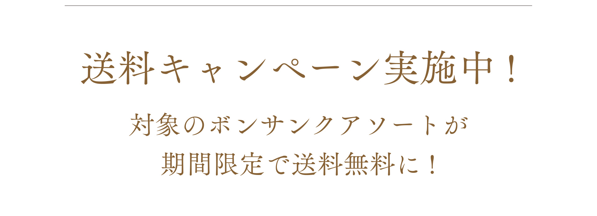 送料キャンペーン実施中! 対象のボンサンクアソートが期間限定で送料無料に!