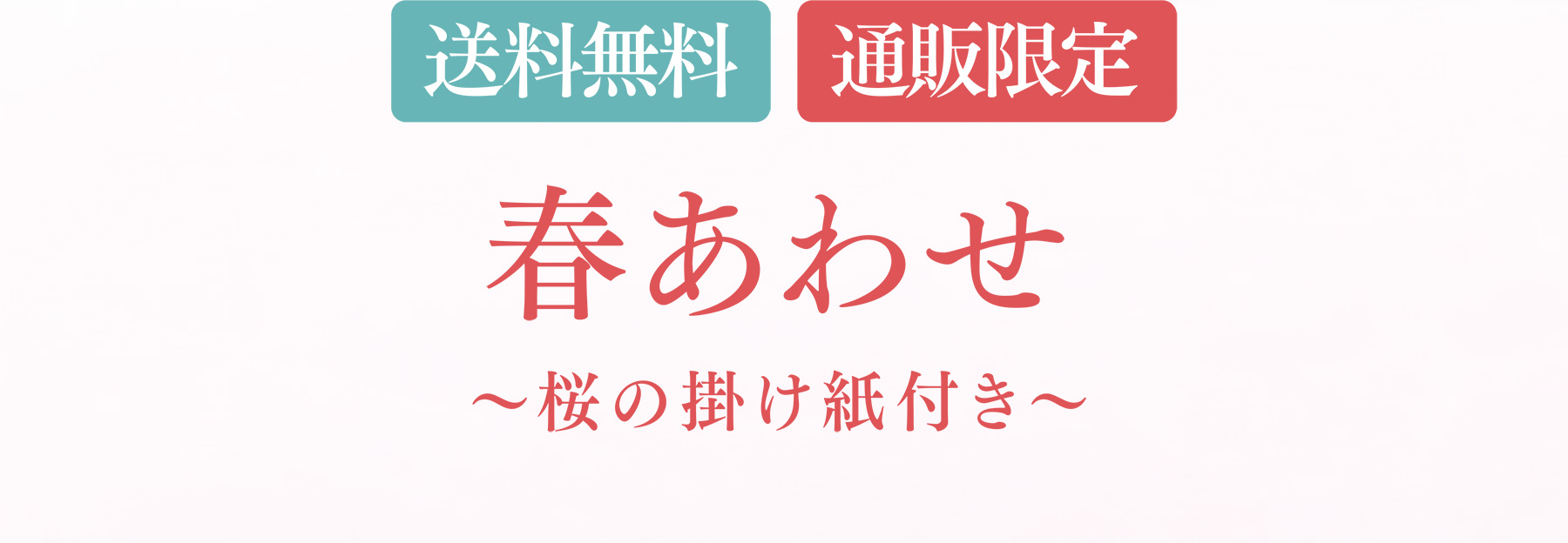 送料無料 通販限定 春あわせ〜桜の掛け紙付き〜