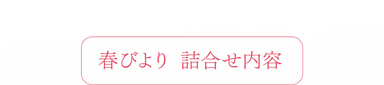 春びより 詰合せ内容