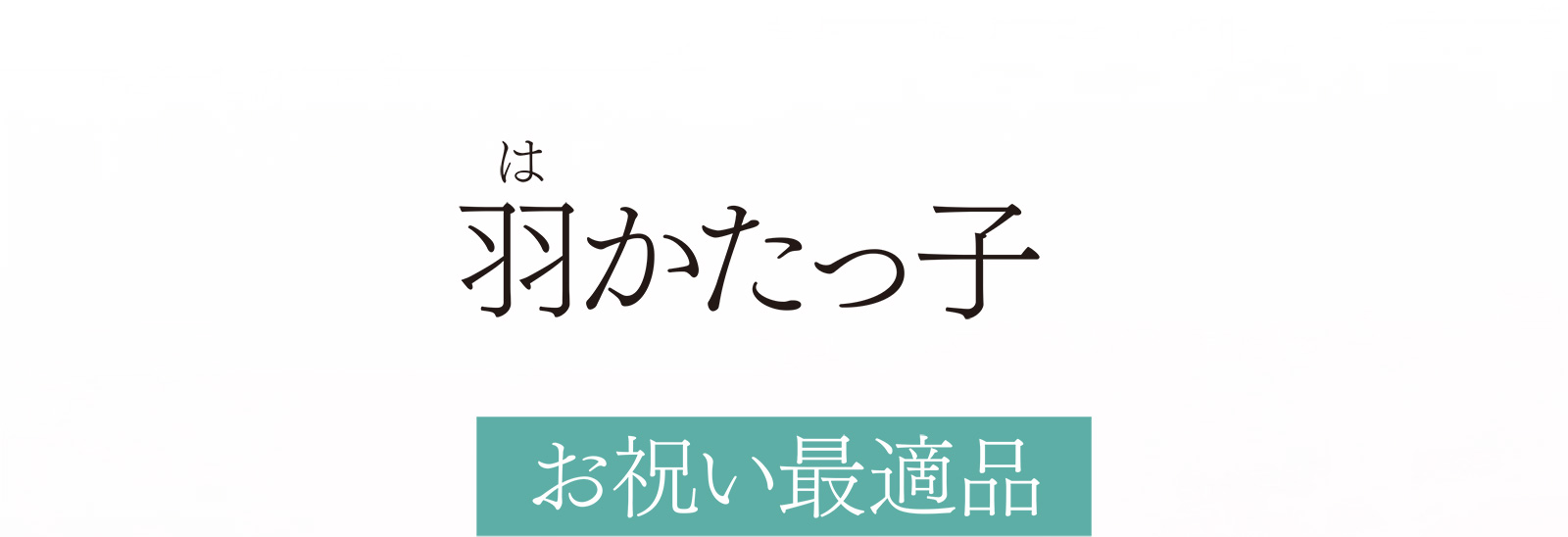 羽かたっ子 お祝い最適品