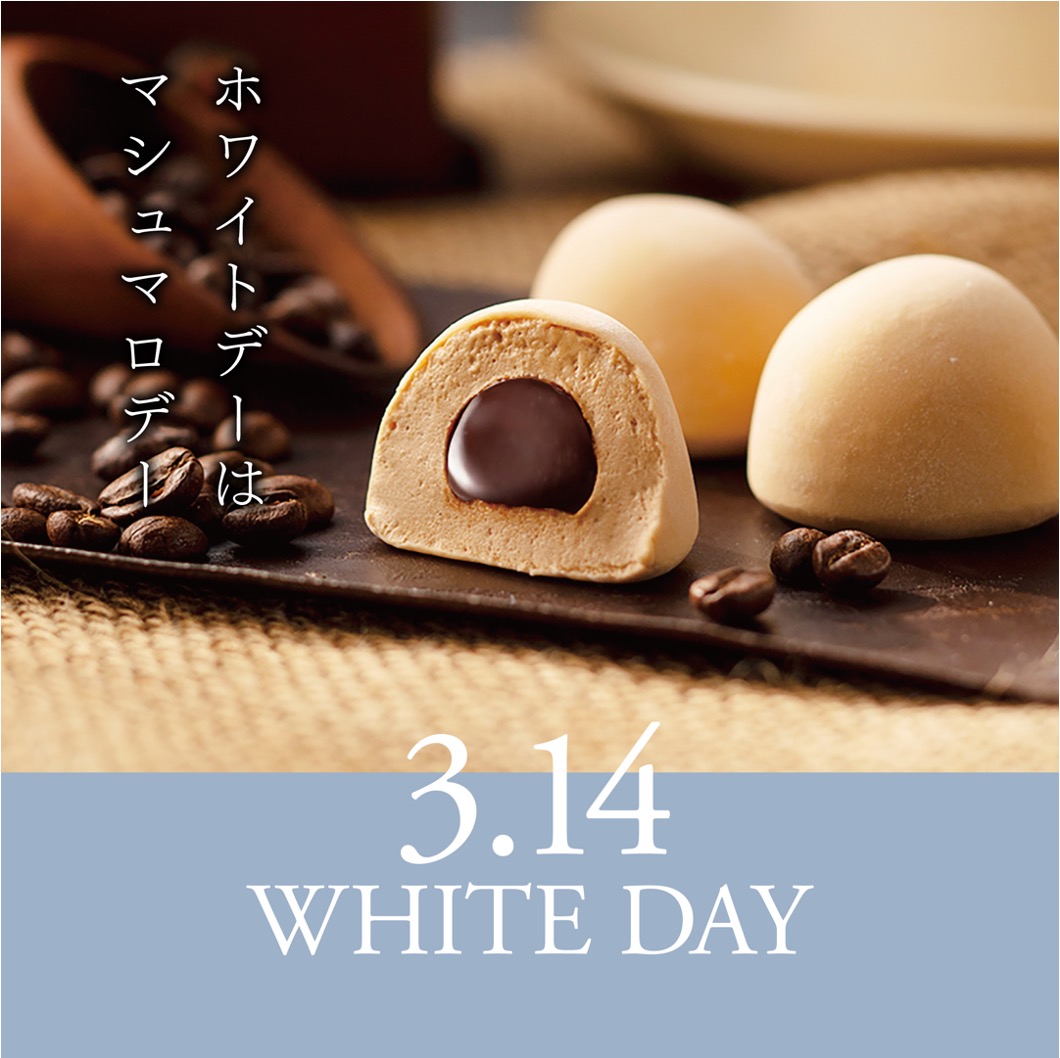 3.14 WHITE DAY