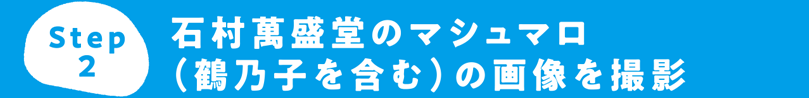 Step2 石村萬盛堂のマシュマロ（鶴乃子を含む）の画像を撮影